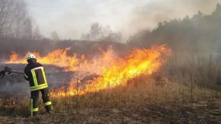 За сутки 9 пожаров: ДСНС вновь призвала украинцев не выжигать траву