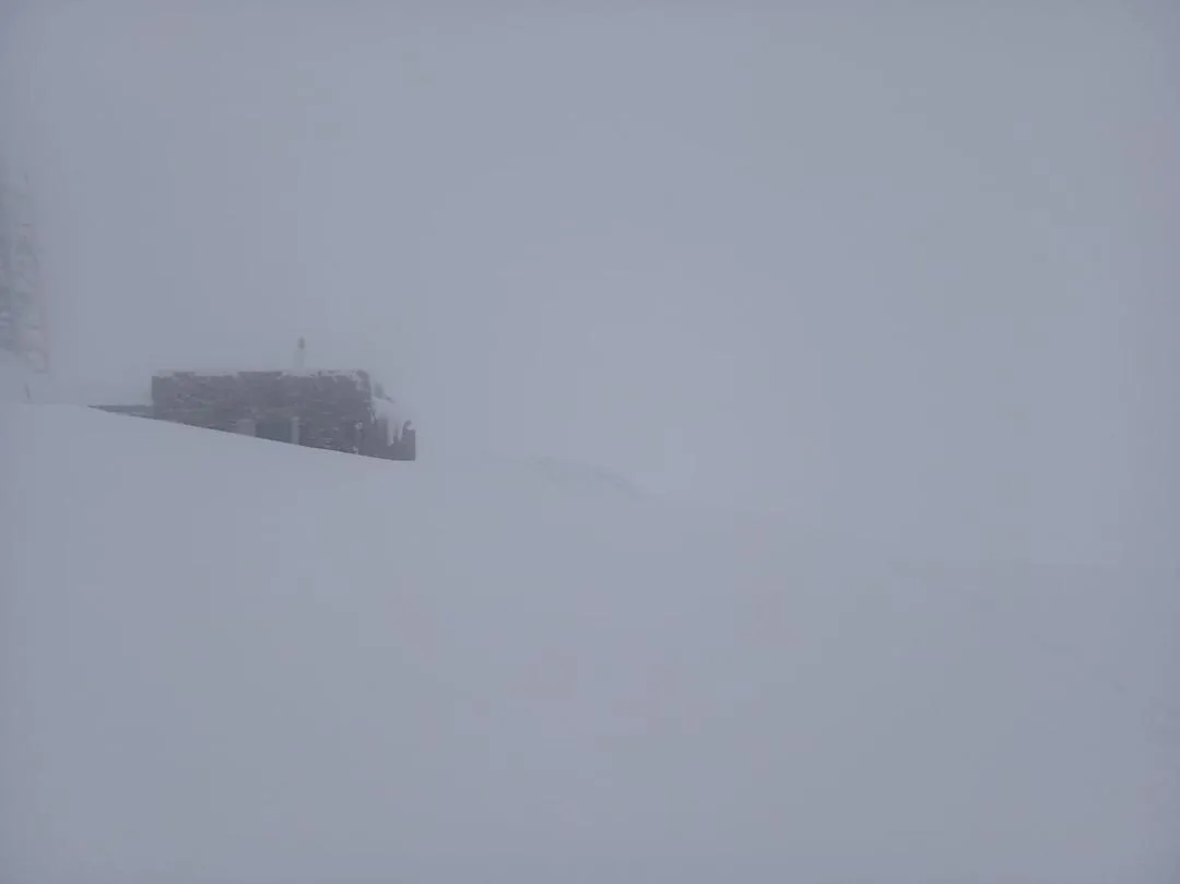 піп іван піп іван