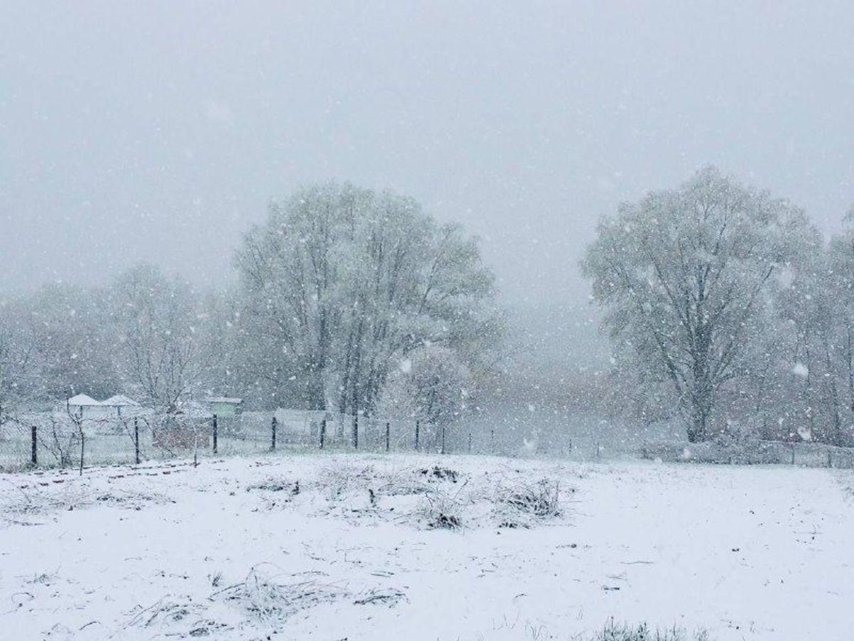 Наприкінці квітня 2021 Україну засипає снігом: фото, відео