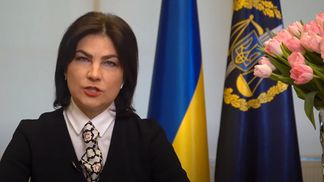 Позовів на 1,3 мільярда гривень, – Венедіктова про підсумки боротьби з екологічними злочинами