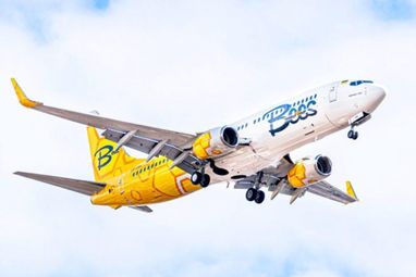 Українському лоукостеру Bees Airline дозволили здійснювати польоти до Європи