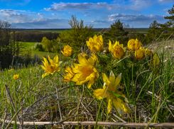 Прогноз погоды на 27 апреля: в Украине будет солнечно и довольно прохладно
