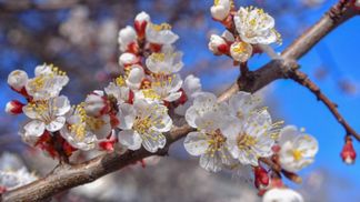 В Украину наконец идет потепление: обещают до +20 градусов