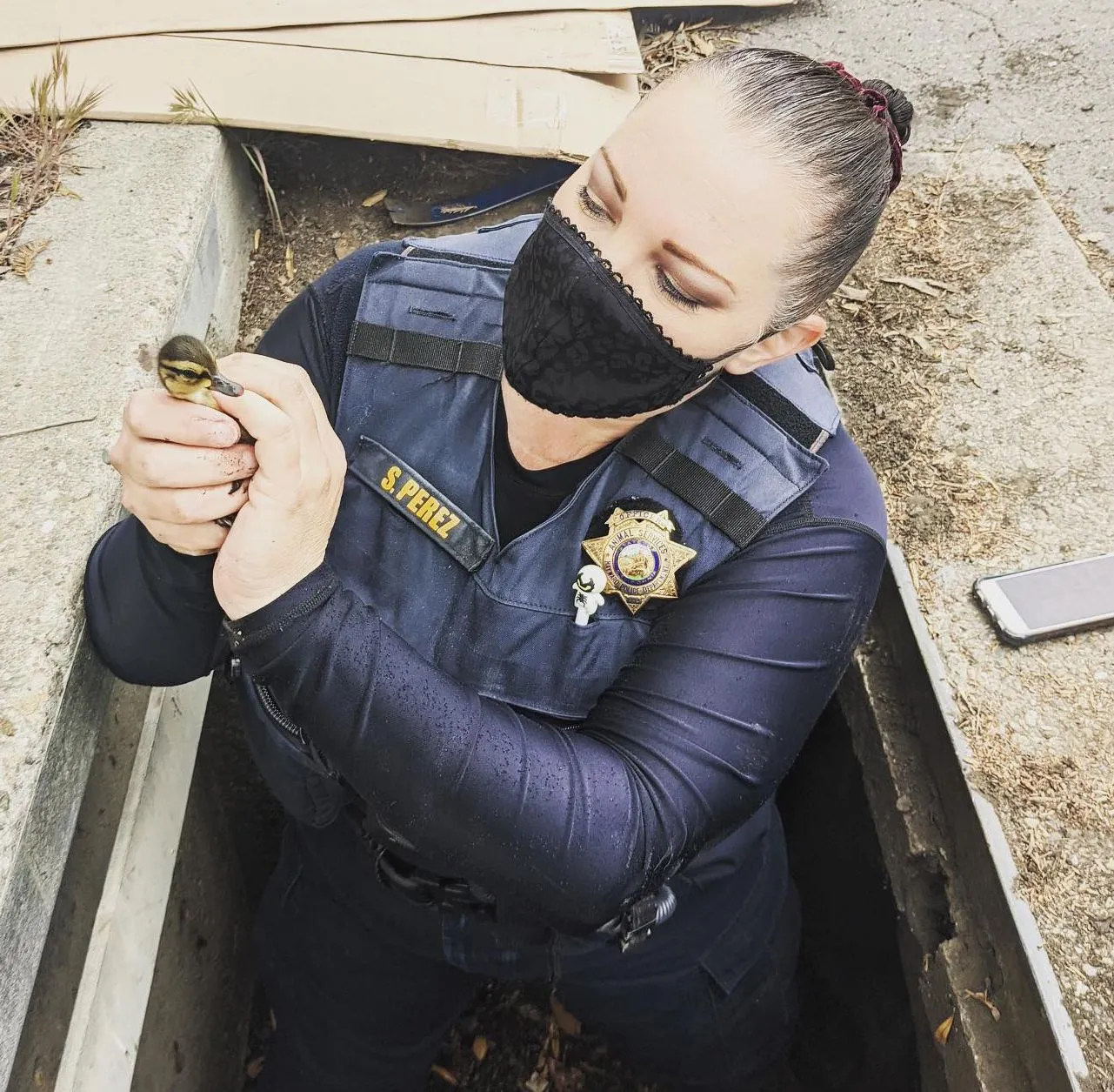 За допомогою звуків з телефону малюків вдалося дістати За допомогою звуків з телефону малюків вдалося дістати
