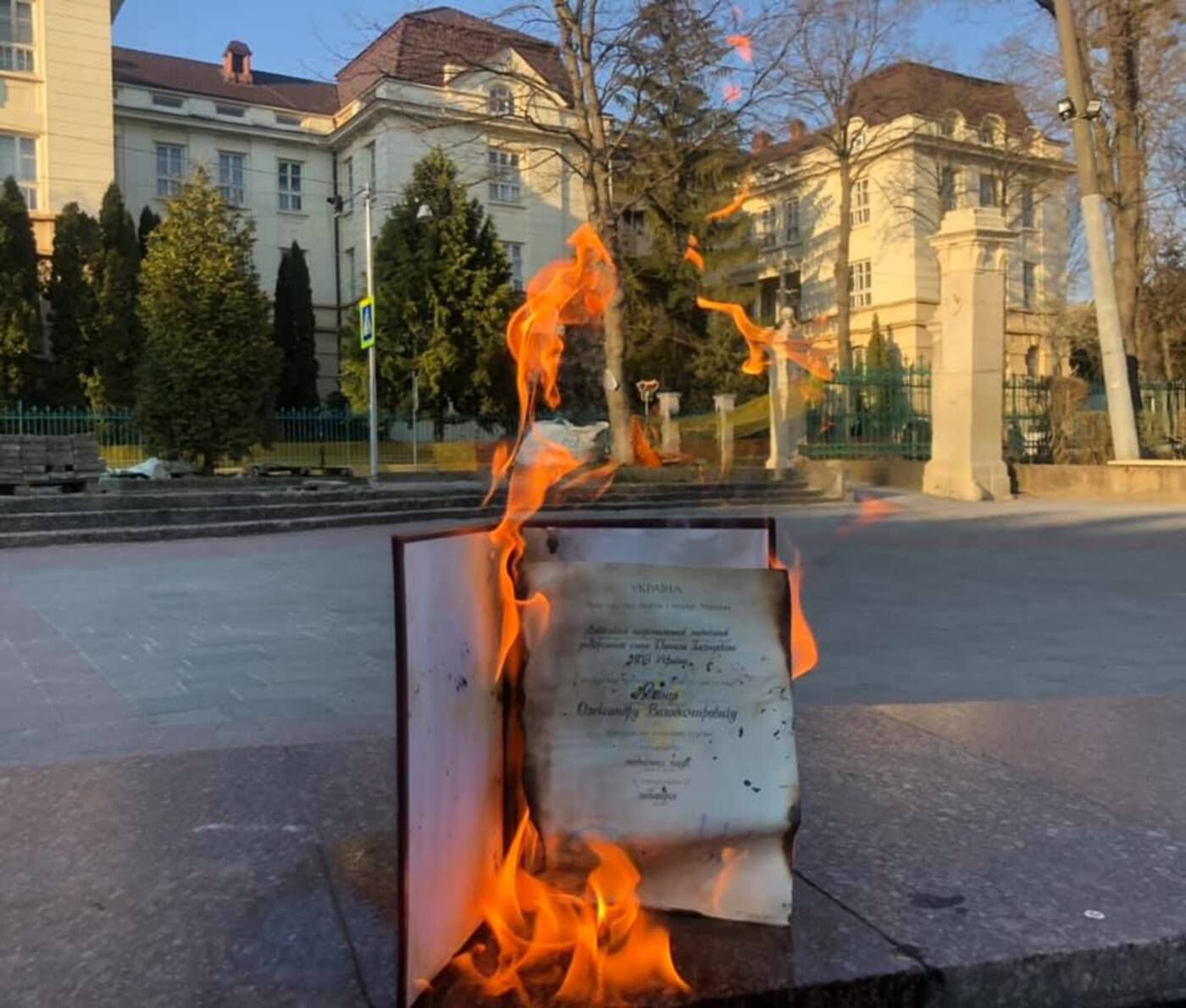 Викладач спалив свій диплом на знак протесту проти дипломованого Киви 