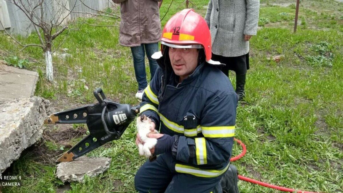 У Харківській області ціла бригада рятувальників визволяла кошеня
