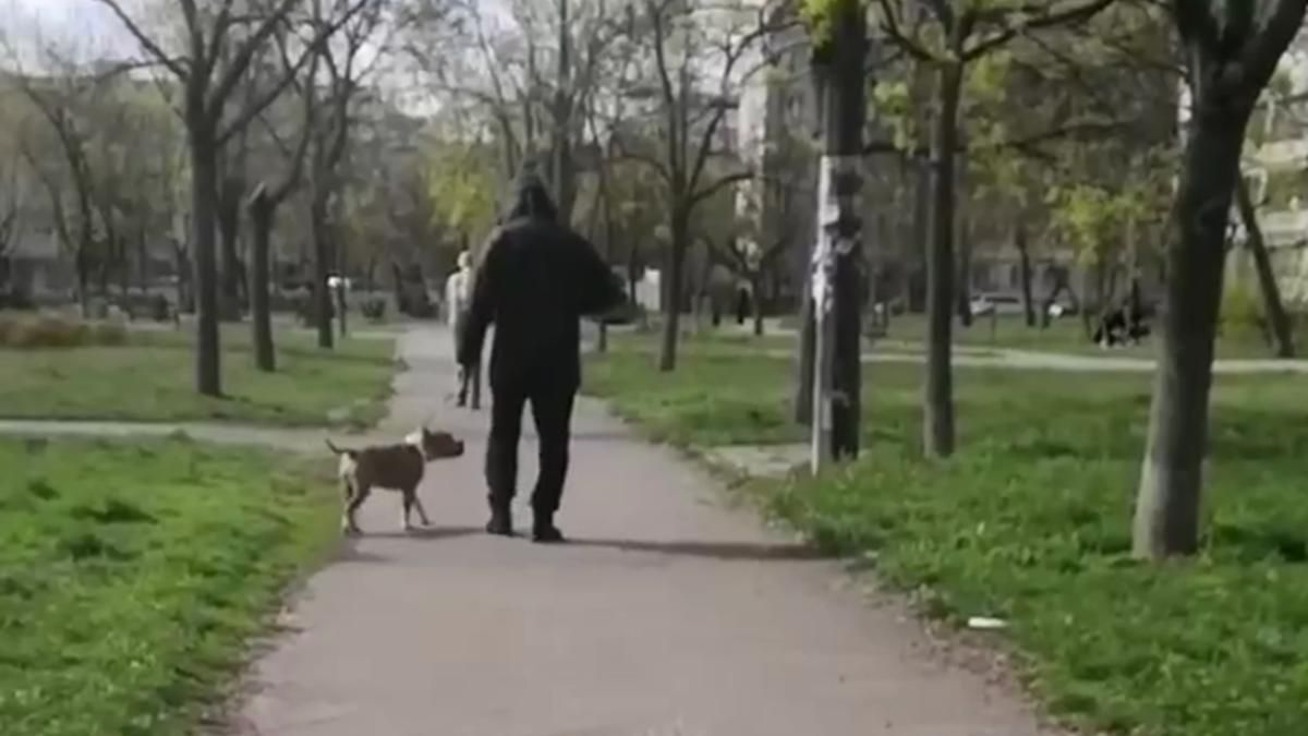 На Оболоні у Києві загриз вже третього собаку
