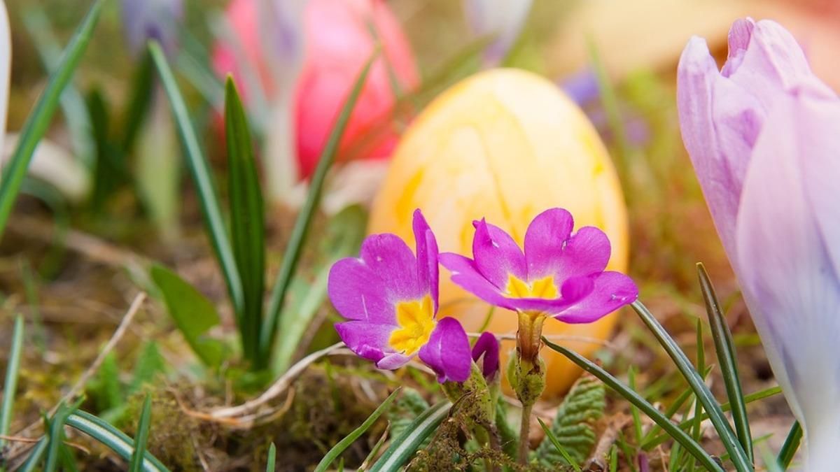 Погода на Великдень та травневі свята у 2021 році – синоптик Погода на Великдень та травневі свята у 2021 році – синоптик