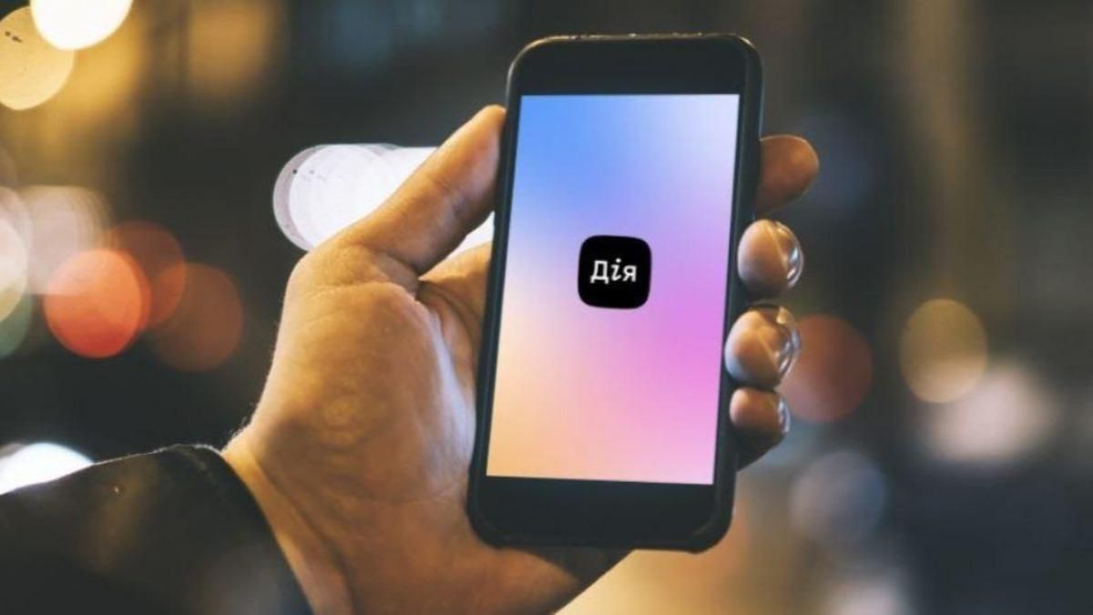 Правительство разрешило открывать ФЛП в Дии без участия госреестратора Правительство разрешило открывать ФЛП в Дии без участия госреестратора