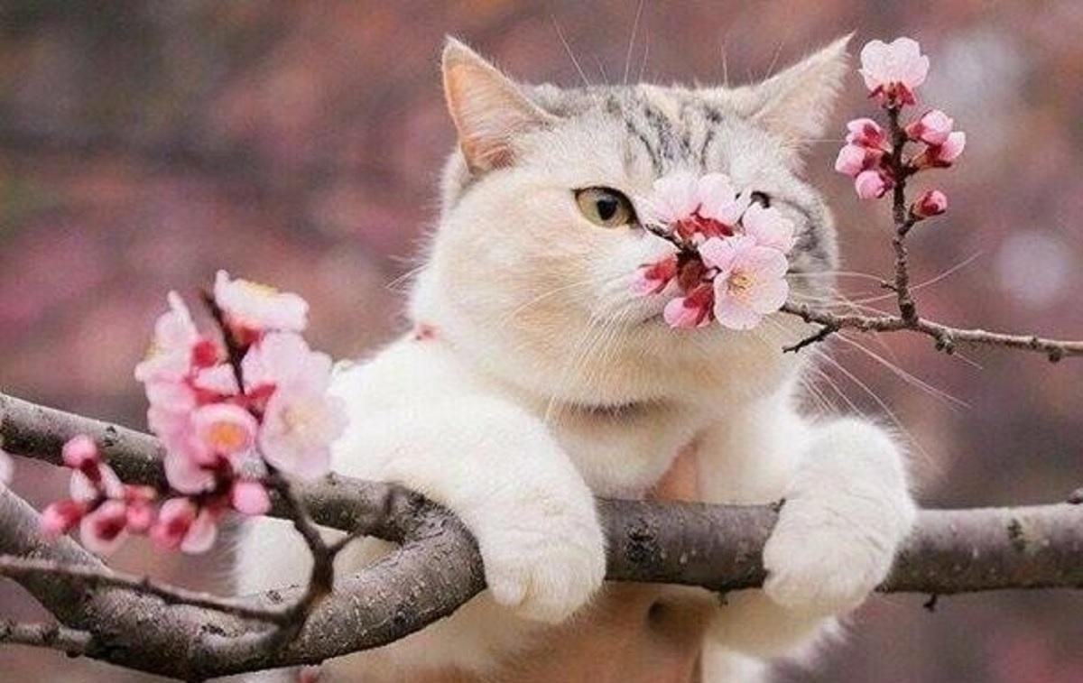 Погода 29 апреля 2021: прогноз от синоптиков Украины Погода 29 апреля 2021: прогноз от синоптиков Украины