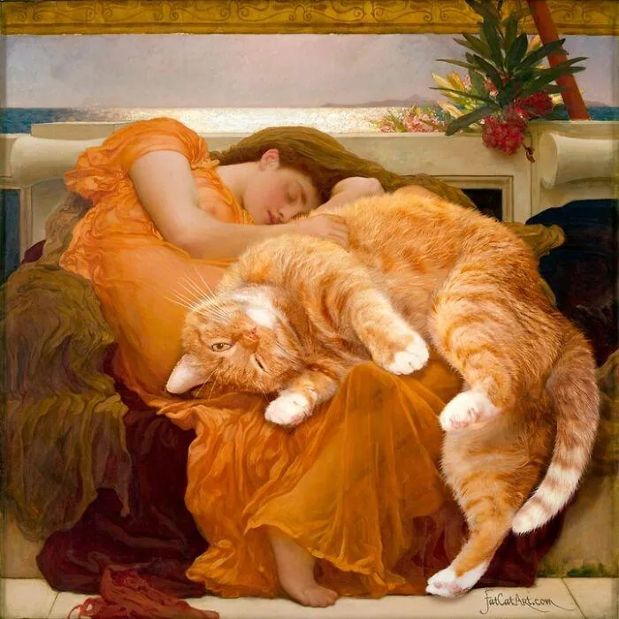 Фото @fatcatart / instagram Фото @fatcatart / instagram