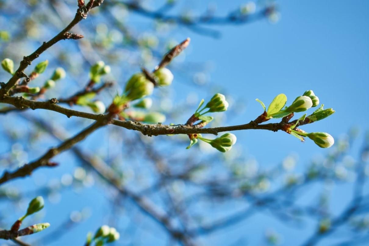 Погода 30 квітня 2021: прогноз від синоптиків України Погода 30 квітня 2021: прогноз від синоптиків України