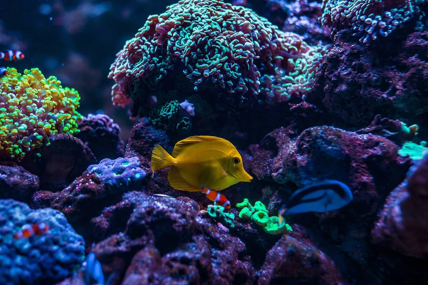 Найкрасивіші місця Львова для вдалої фотосесії: підбірка цікавих ідей Найкрасивіші місця Львова для вдалої фотосесії: підбірка цікавих ідей