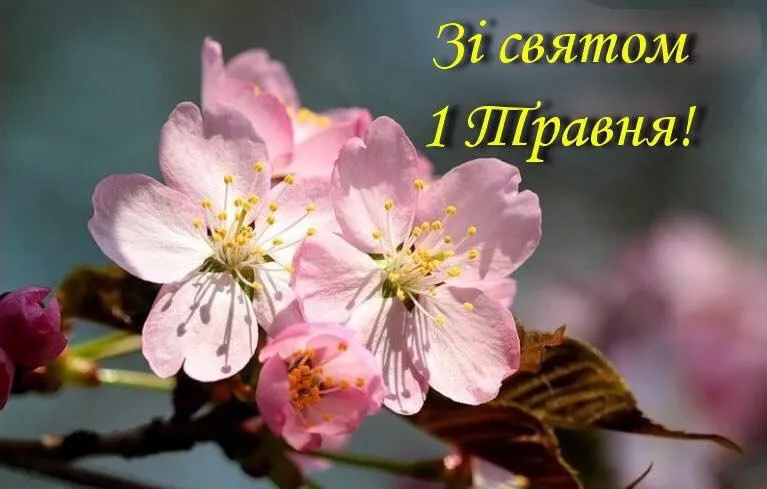 1 травня картинки привітання зі святом 1 травня картинки привітання зі святом