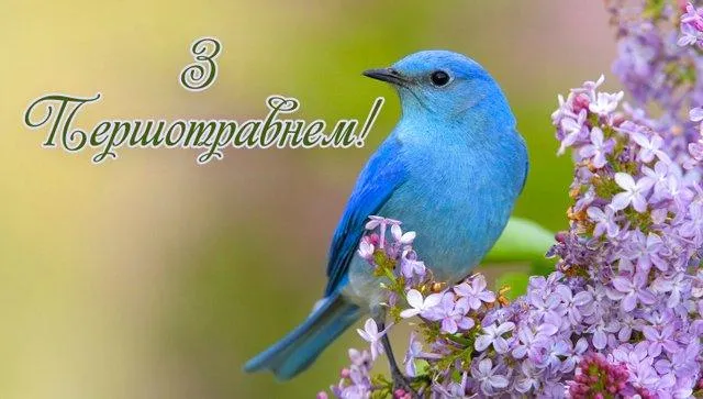 З Днем праці листівки З Днем праці листівки