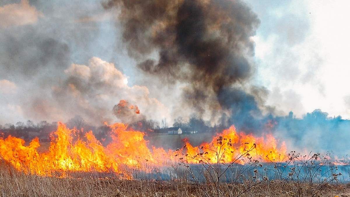 Украина страдает от пожарной опасности, дождей и заморозков