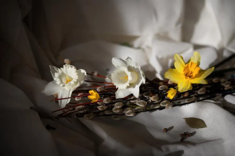 Не купуйте пластикові квіти Не купуйте пластикові квіти