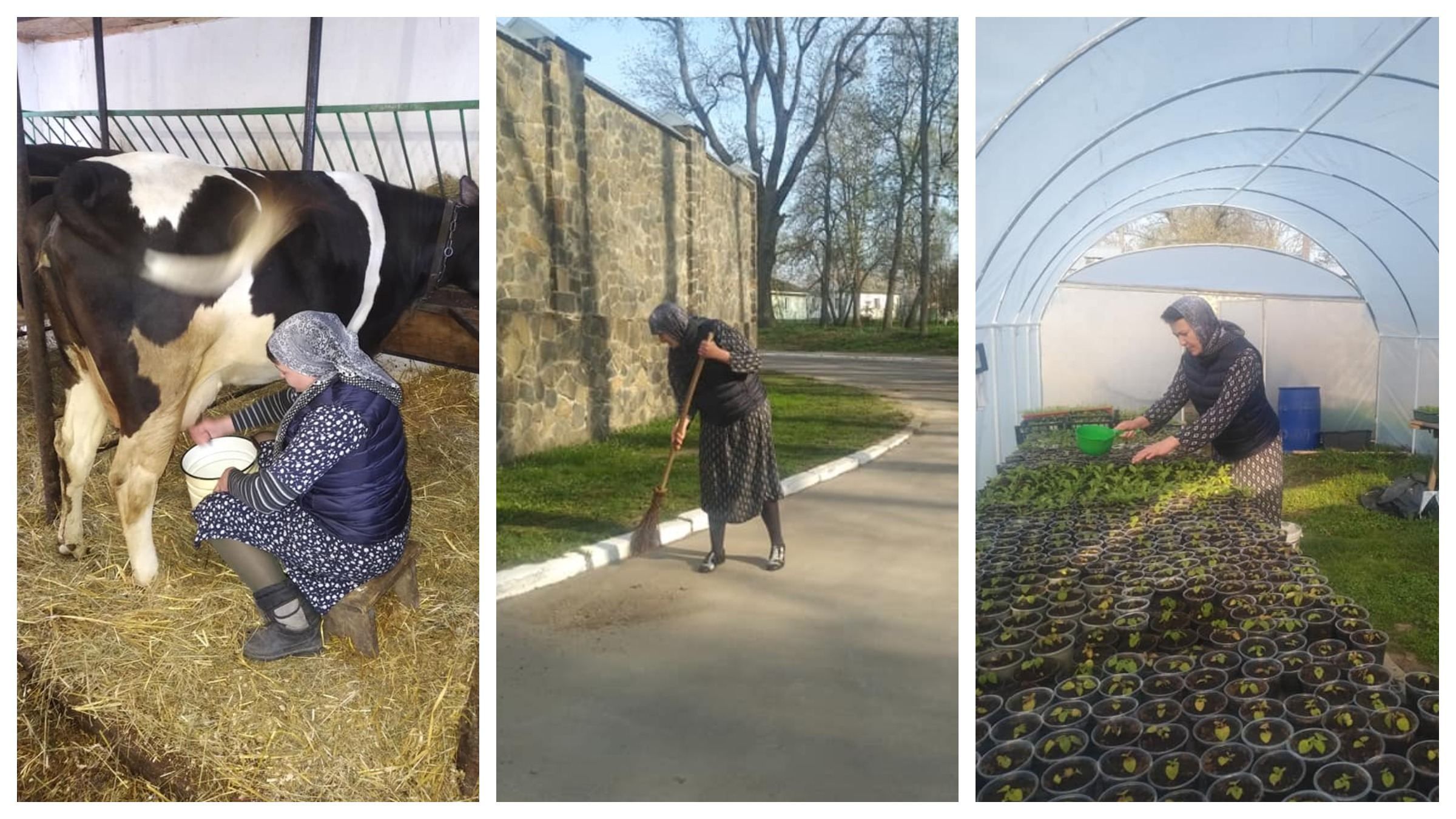 Савченко і корови: колишня нардепка показала фото життя після політики Савченко і корови: колишня нардепка показала фото життя після політики