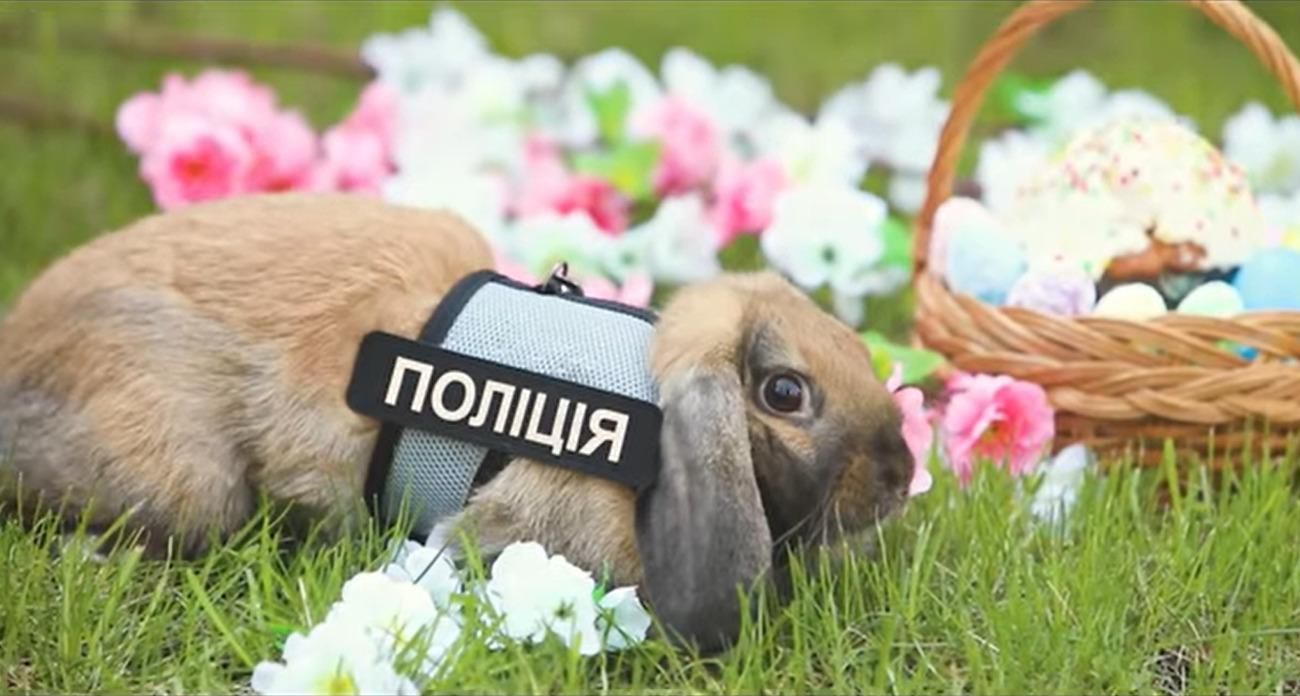В університеті внутрішніх справ з'явився кролик-поліцейський Топотун