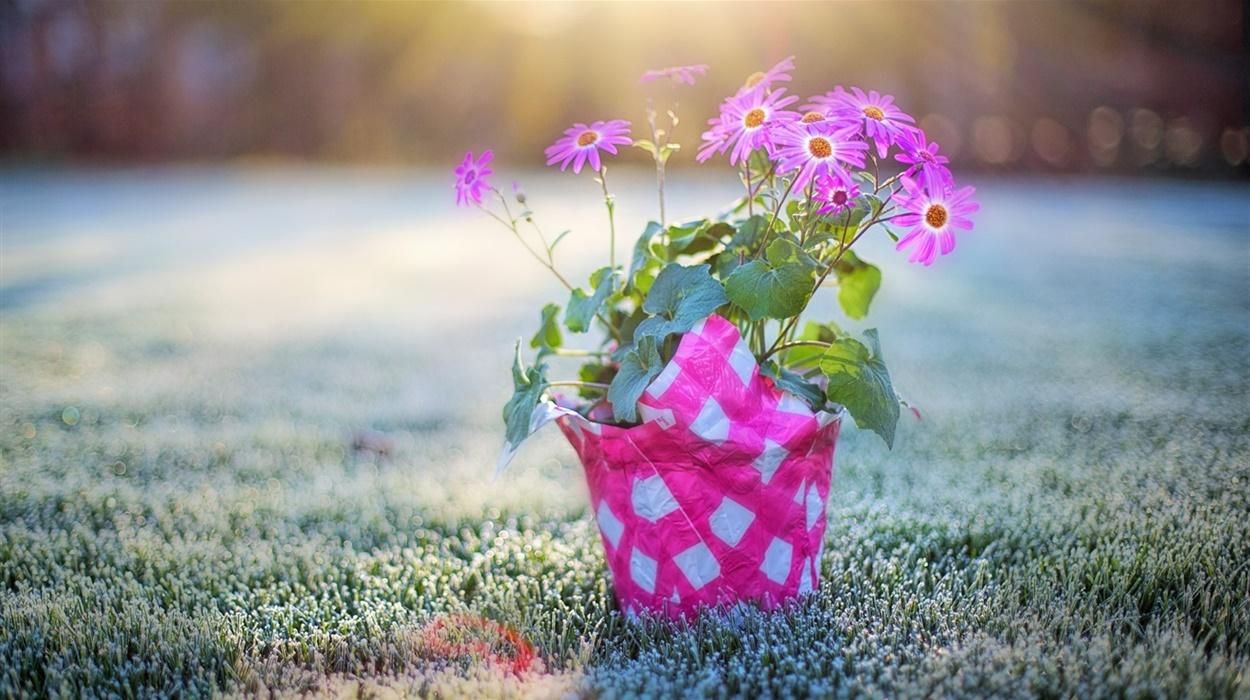 Погода в Україні 4 травня 2021: прийдуть заморозки Погода в Україні 4 травня 2021: прийдуть заморозки