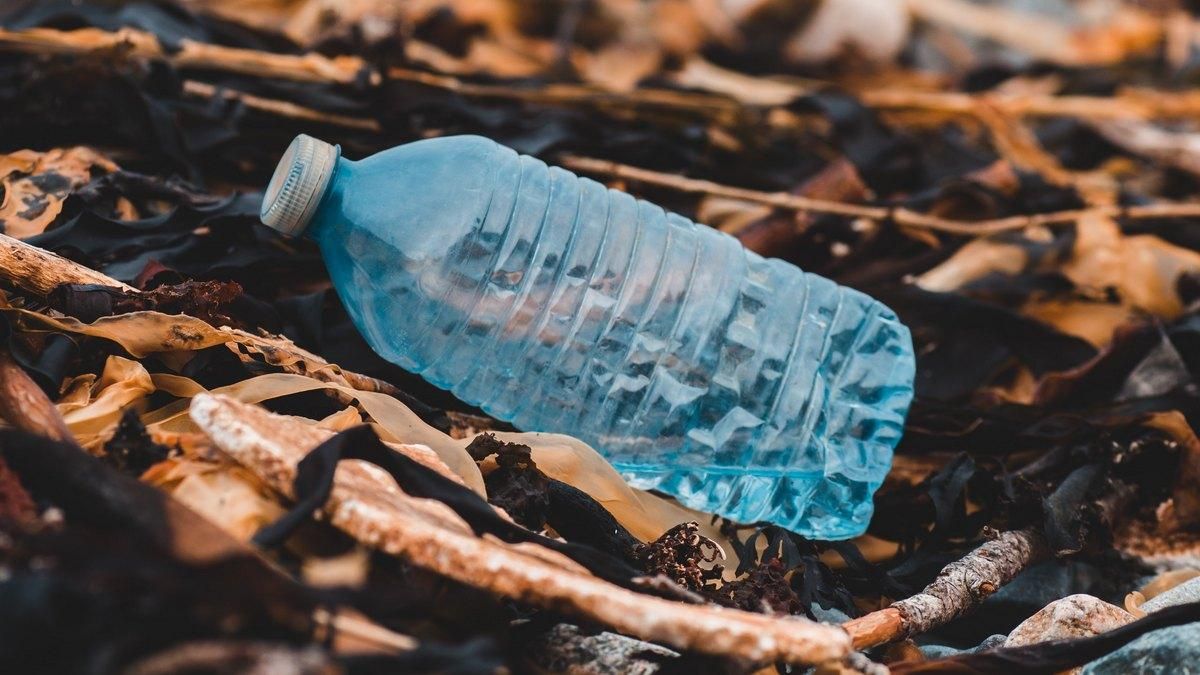 Людство отруювало океан мікропластиком навіть пів століття тому Людство отруювало океан мікропластиком навіть пів століття тому