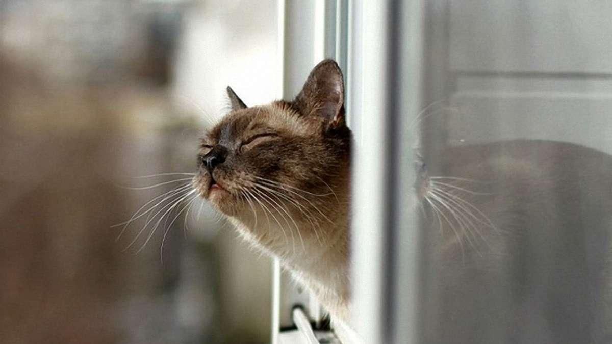 Погода в Україні протягом тижня: 5, 6, 7, 8 травня Погода в Україні протягом тижня: 5, 6, 7, 8 травня