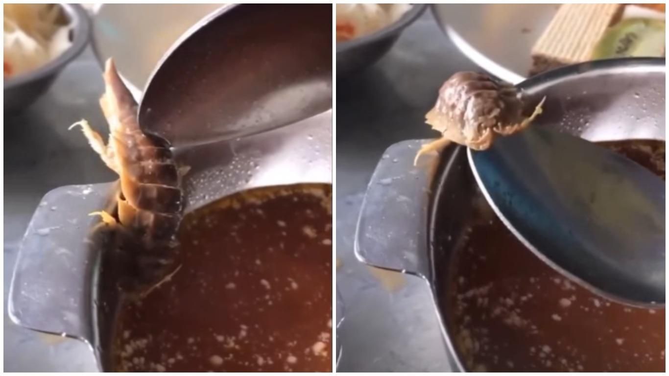 Рак в тарелке курсанта из Харькова оказался силиконовым и из России Рак в тарелке курсанта из Харькова оказался силиконовым и из России