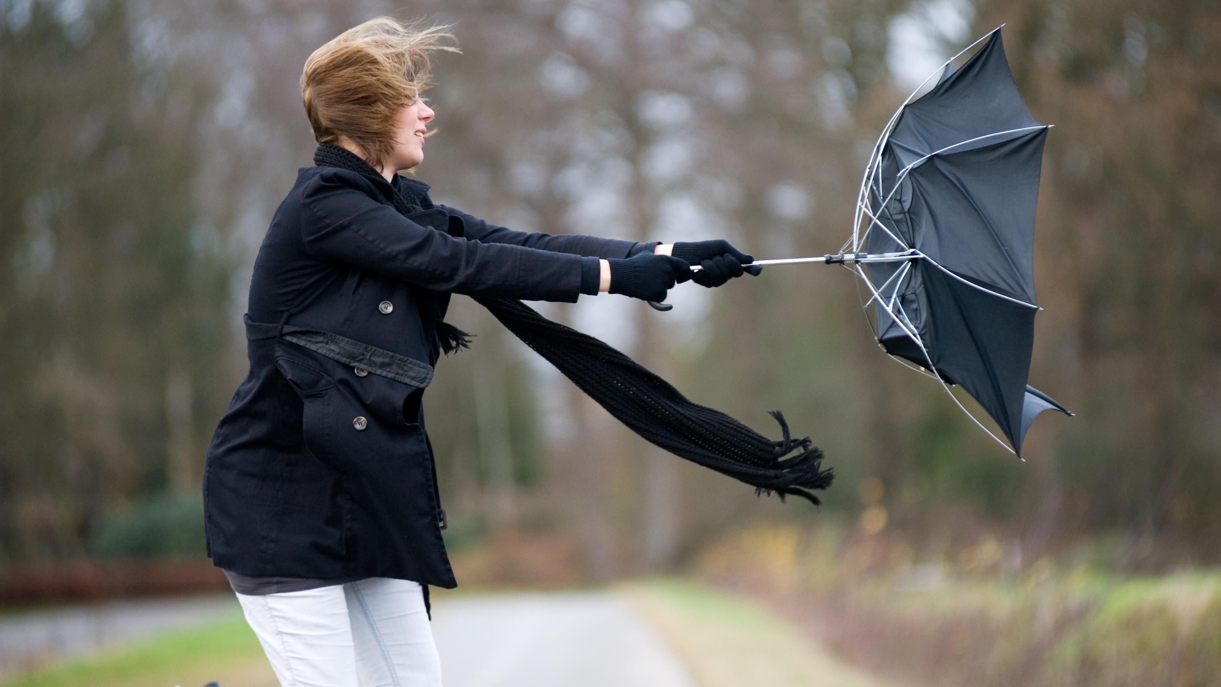 Прогноз погоди у Києві на 6 травня 2021: попередили про сильний вітер Прогноз погоди у Києві на 6 травня 2021: попередили про сильний вітер