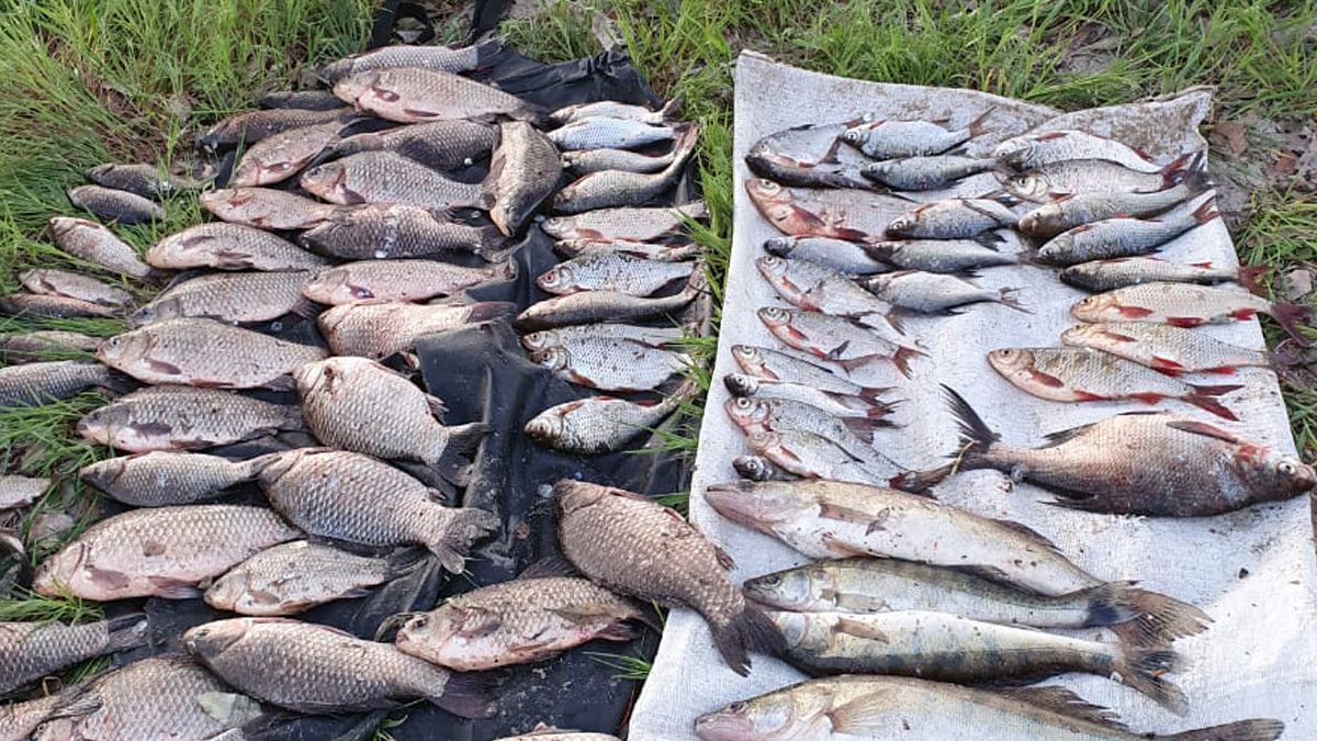 На Киевщине поймали браконьеров: наловили более 100 килограммов рыбы