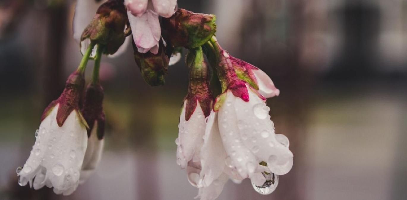 Погода 7 мая 2021: прогноз от синоптиков Украины Погода 7 мая 2021: прогноз от синоптиков Украины