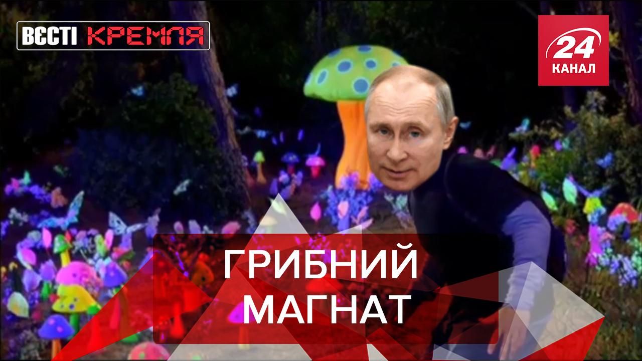 Вєсті Кремля: У Росії посилили правила збору грибів