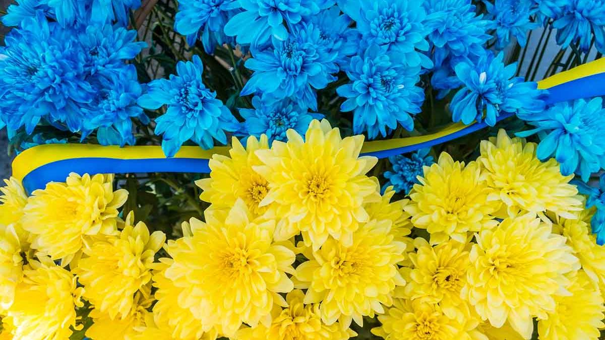 Сколько украинцов хотят отмечать 8 и 9 мая: опрос Сколько украинцов хотят отмечать 8 и 9 мая: опрос