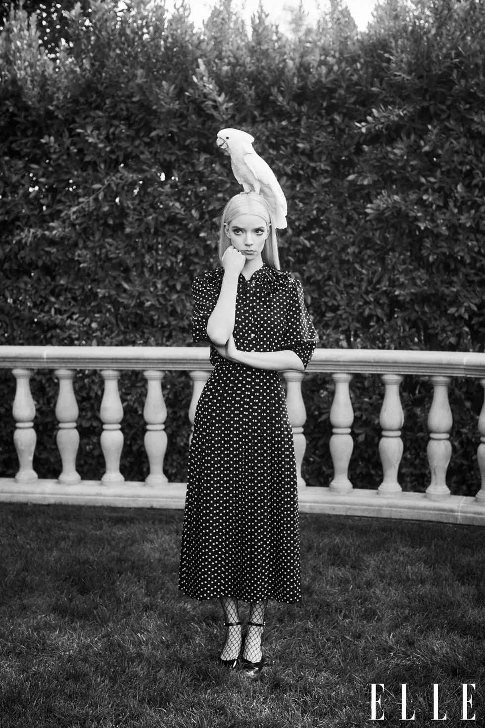 Аня Тейлор-Джой знялася у стильній фотосесії Аня Тейлор-Джой знялася у стильній фотосесії