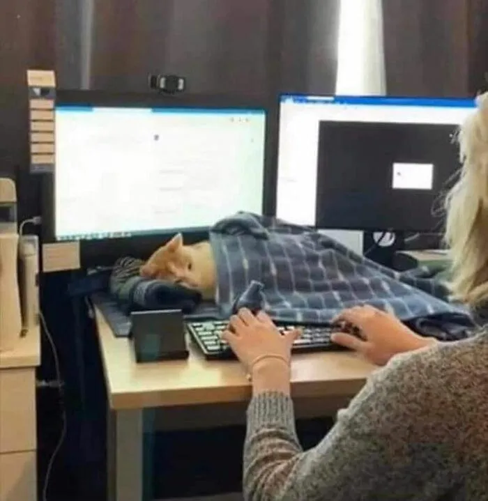 Фото Boredpanda Фото Boredpanda