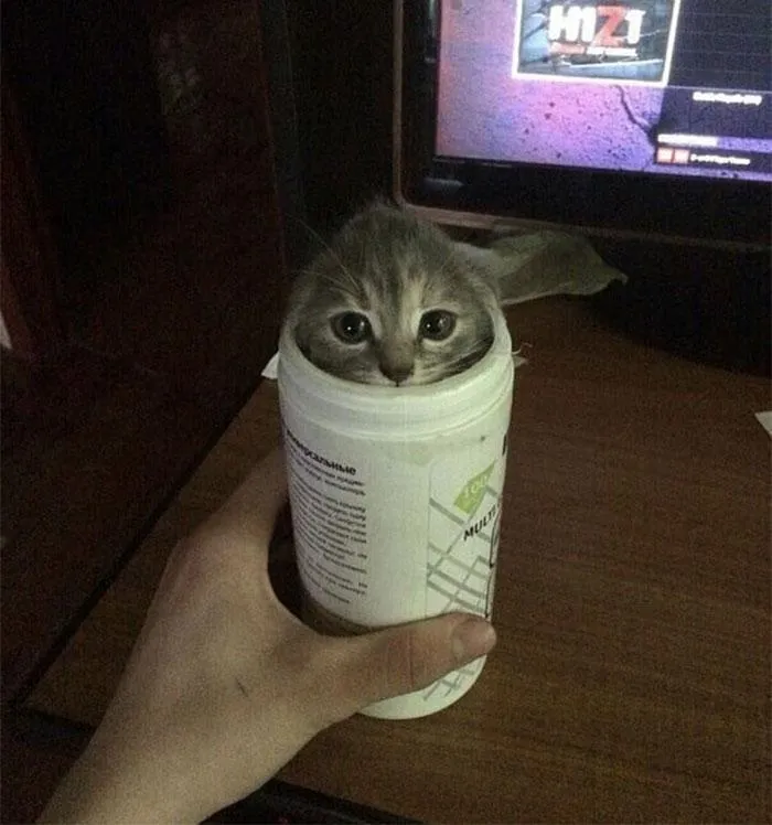 Фото Boredpanda Фото Boredpanda