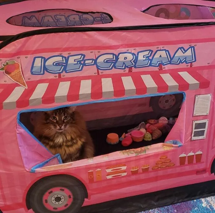 Фото Boredpanda Фото Boredpanda