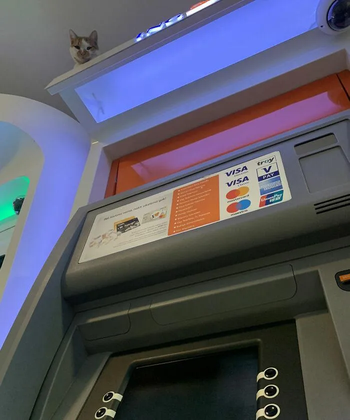 Фото Boredpanda Фото Boredpanda