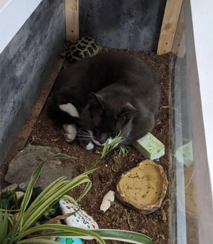 Фото Boredpanda Фото Boredpanda