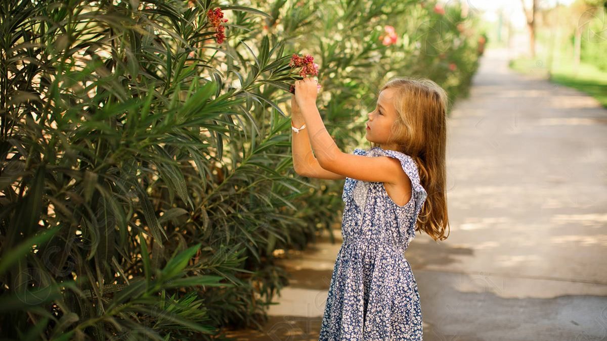 В Харькове 3-летняя девочка сбежала от мамы и няни в парке В Харькове 3-летняя девочка сбежала от мамы и няни в парке