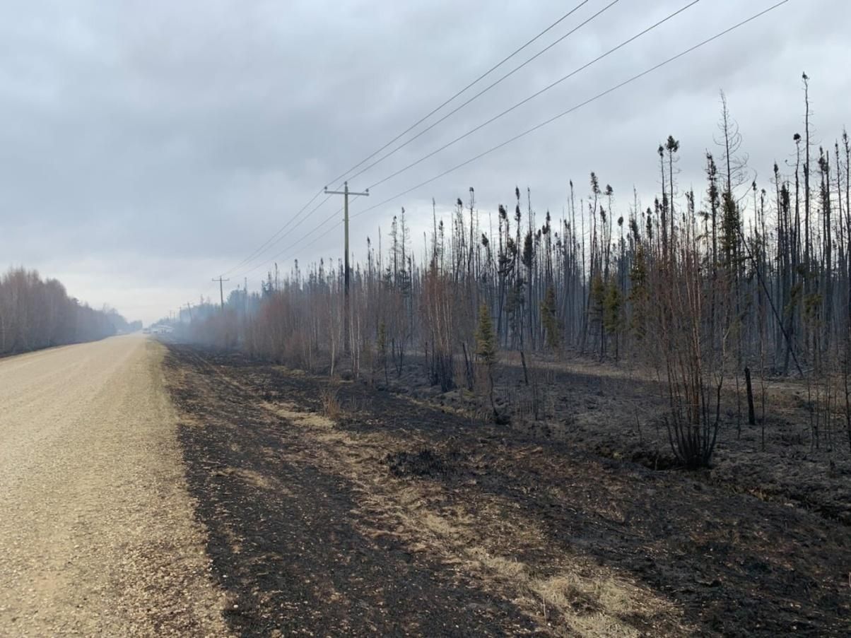 У Канаді вирує лісова пожежа: тисяча гектарів знищені – фото