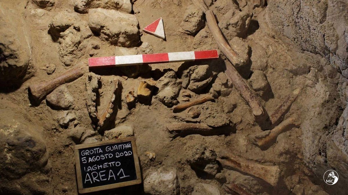 В Италии нашли останки 9 неандертальцев, их могли поймать гиены