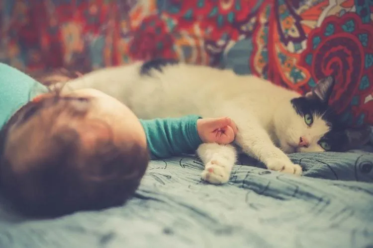 Кіт і немовля