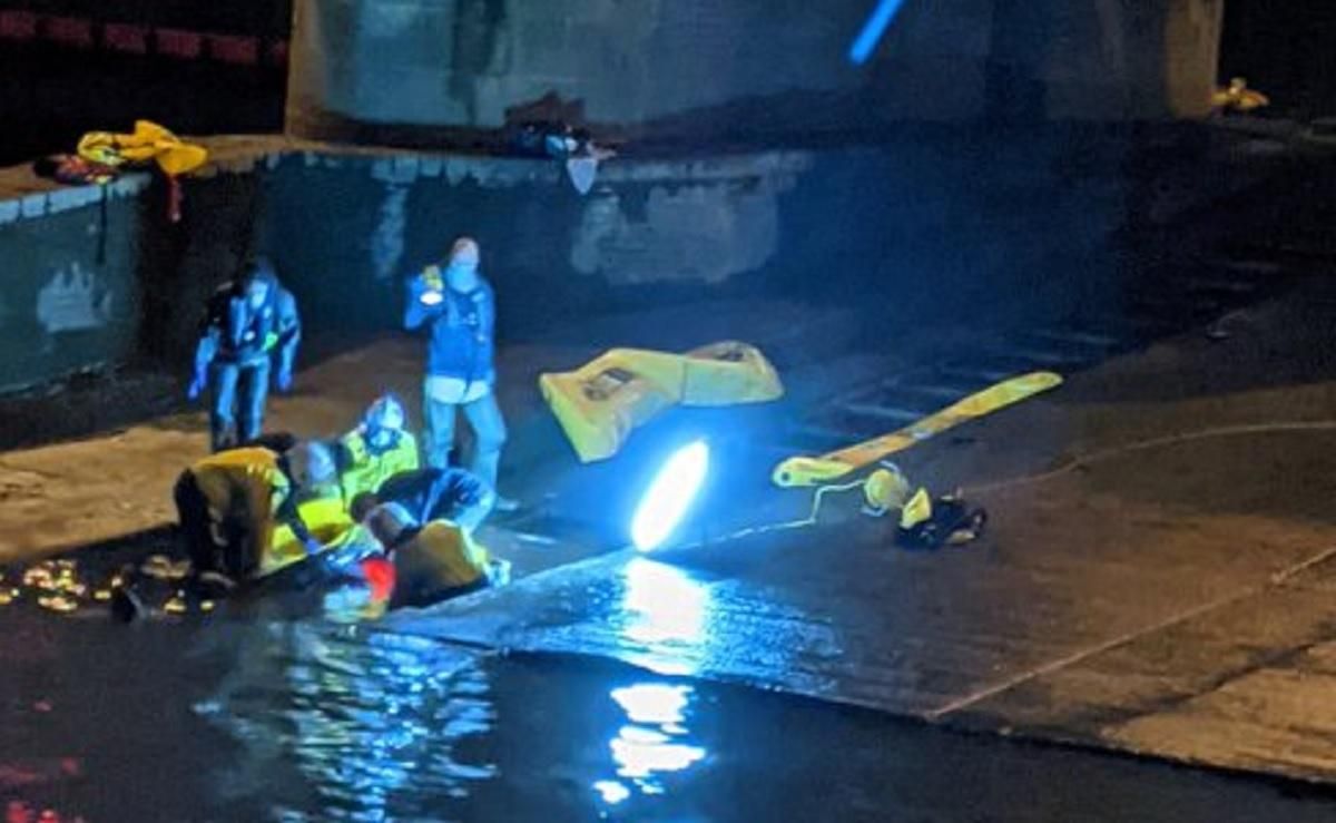 У Лондоні в річці Темза застряг кит: фото, відео У Лондоні в річці Темза застряг кит: фото, відео