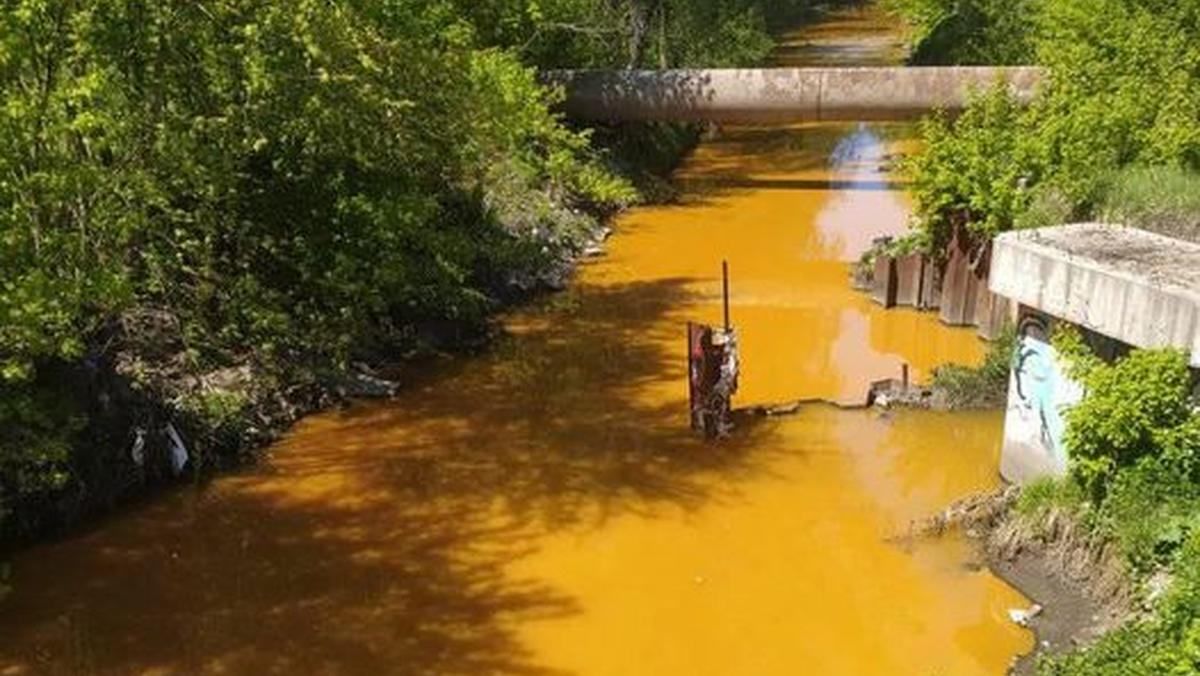 У Києві річка Либідь забарвилася у жовтий колір