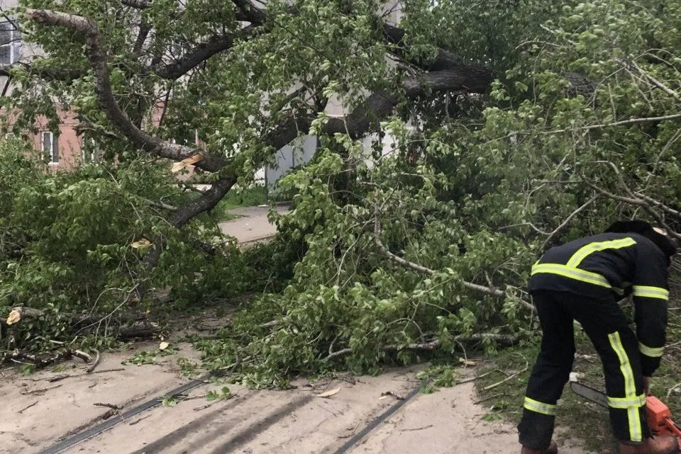 ДСНС Харків шквальний вітер повалені дерева 