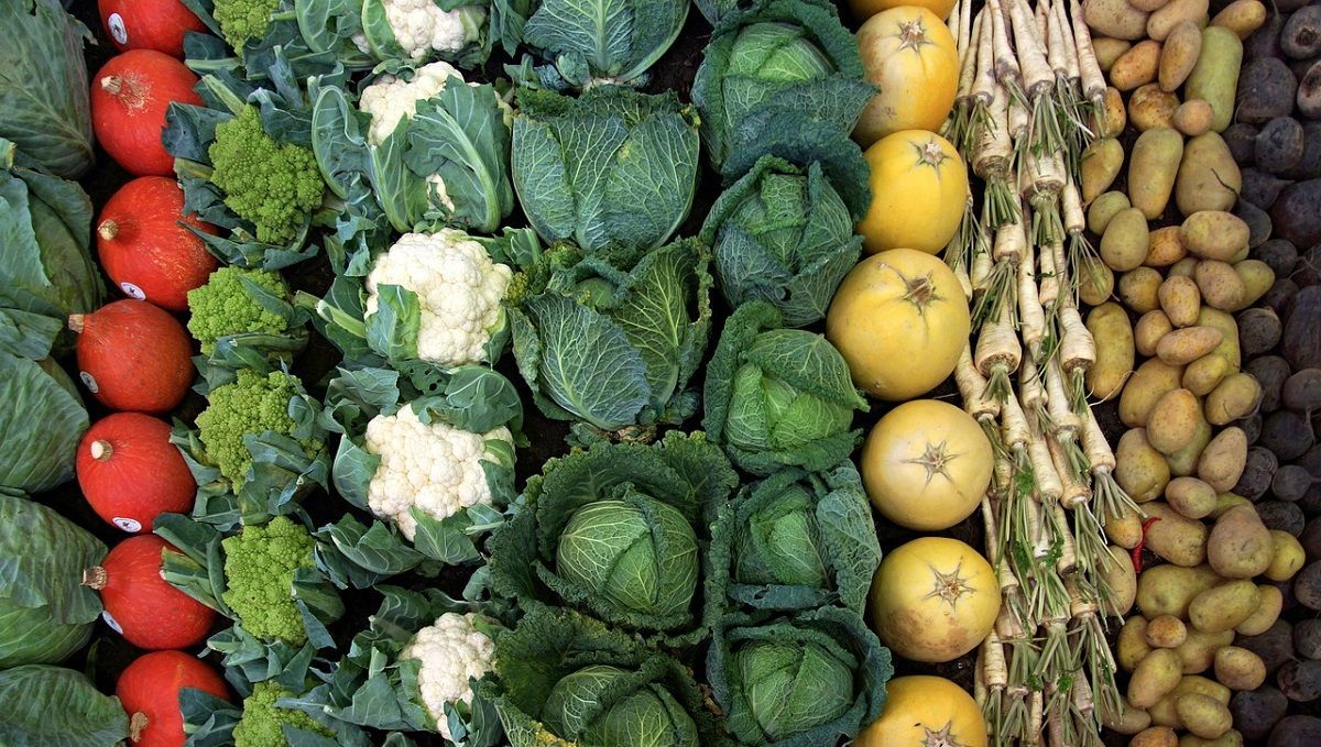 Враг вредителей немецкого качества: как легко, безопасно и надежно защитить свои растения Враг вредителей немецкого качества: как легко, безопасно и надежно защитить свои растения