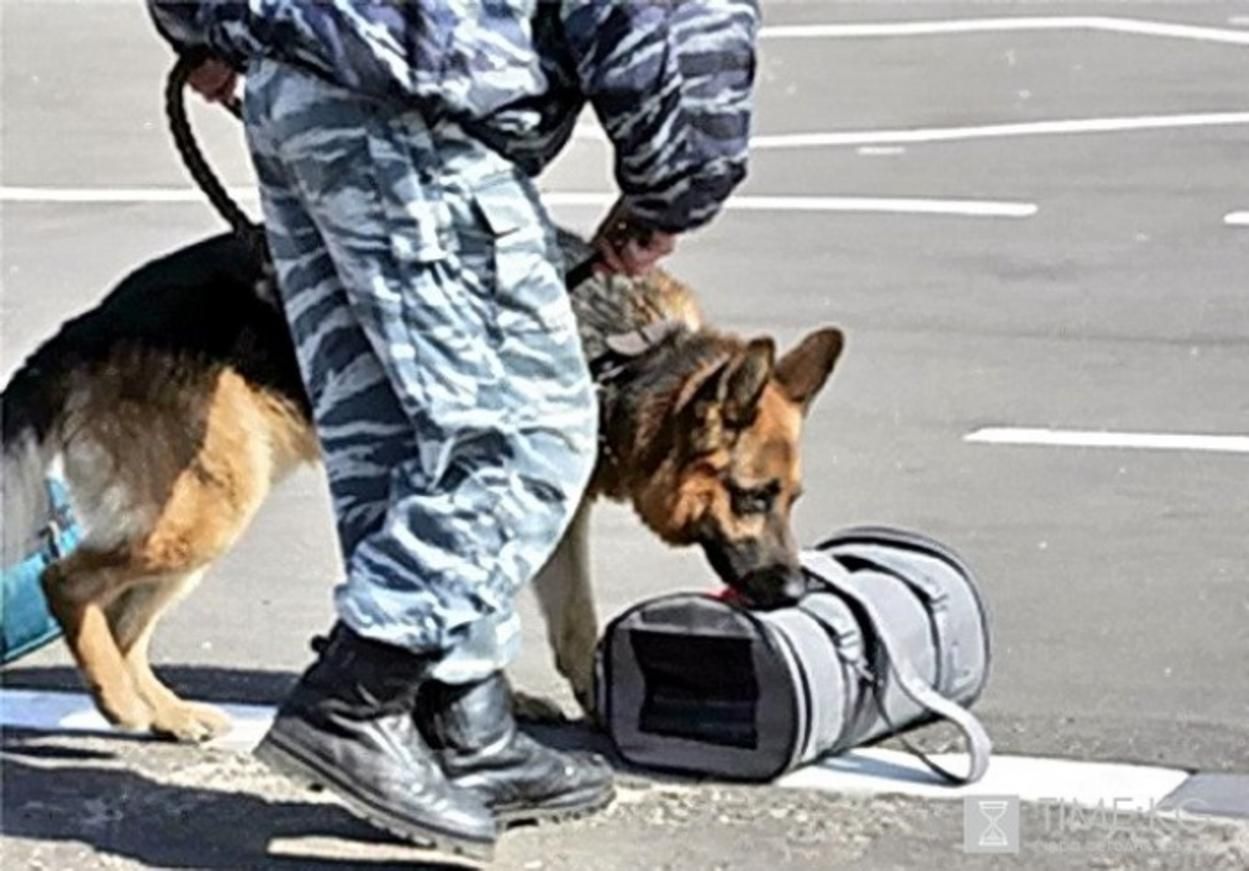 Небезпечна знахідка: на території митного поста Мостиська виявили підозрілу сумку Небезпечна знахідка: на території митного поста Мостиська виявили підозрілу сумку