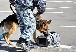 Небезпечна знахідка: на території митного поста "Мостиська" виявили підозрілу сумку