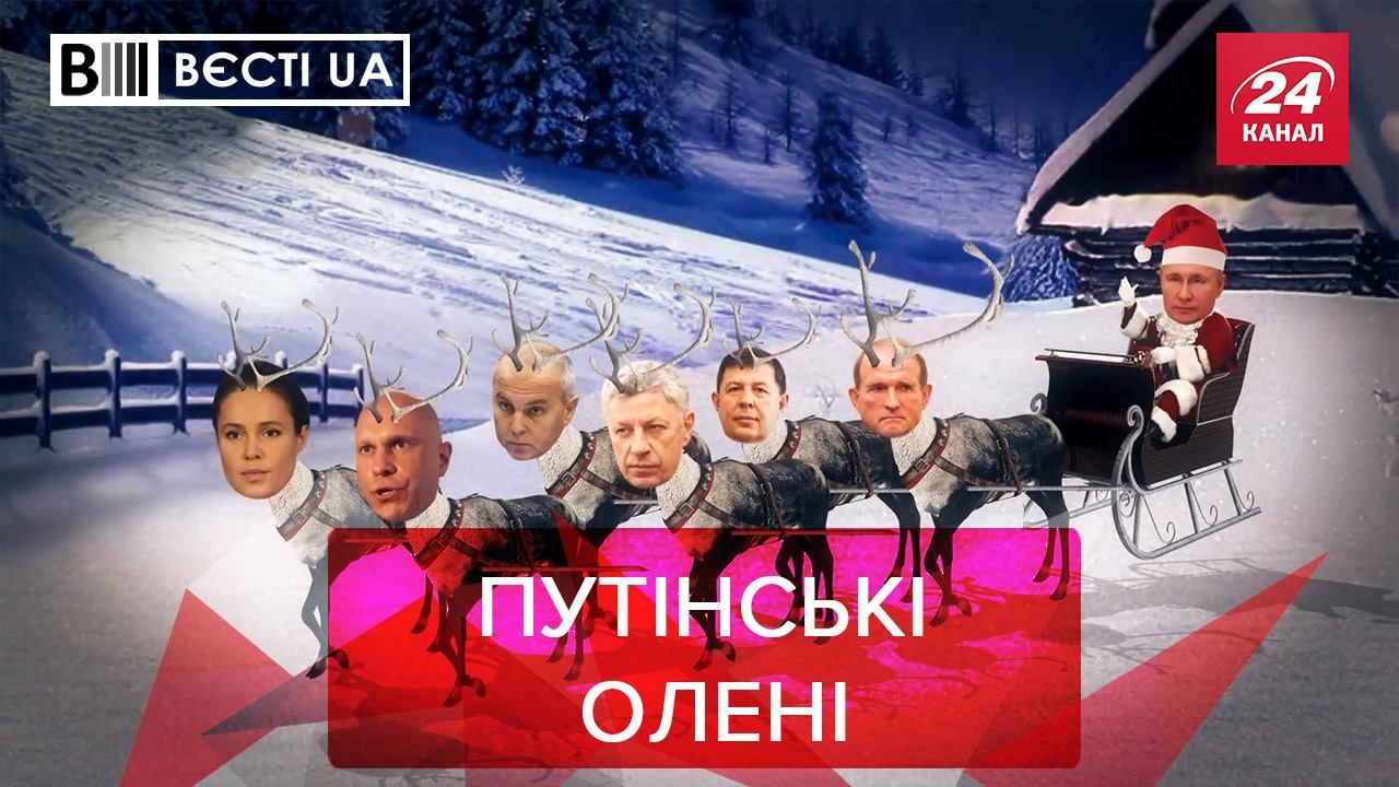 Вести UA: Марченко опубликовала видео с оленем Вести UA: Марченко опубликовала видео с оленем