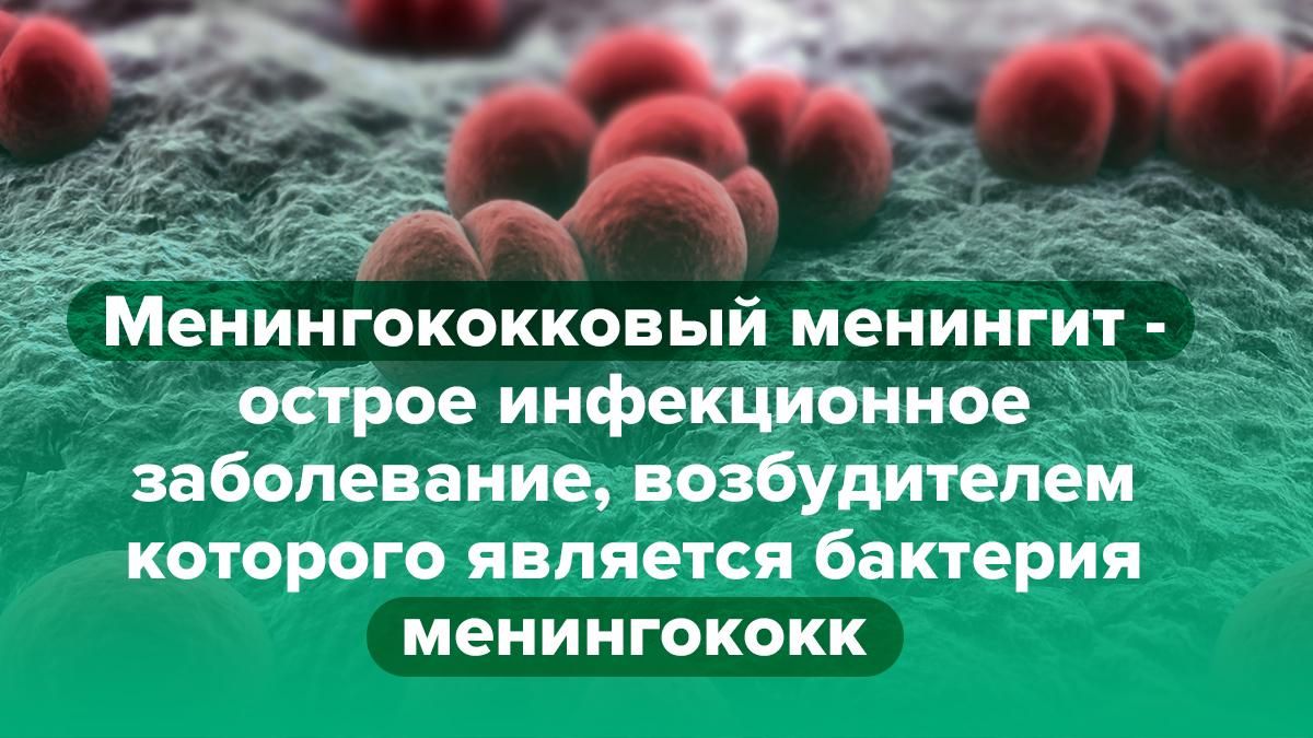 Менингококк: спасет ли шапка от опасной инфекции?
